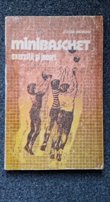 MINIBASCHET. Exercitii si Jocuri - Stelian Gheorghiu