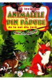 Sa invatam animalele din padure de la noi din tara - Carte de colorat