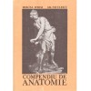 Mircea Ifrim, Gh. Niculescu - Compendiu de anatomie - 137587