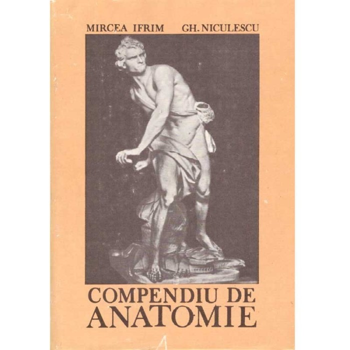 Mircea Ifrim, Gh. Niculescu - Compendiu de anatomie - 137587