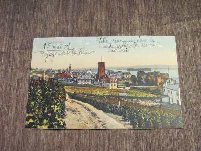Carte poștală veche Germania &amp;ndash; R&amp;uuml;desheim am Rhein, Peisaj Viticol (cel mai probabil din perioada 1900&amp;ndash;1940) foto