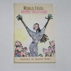 Despre vrajitoare - Roald Dahl - Ilustratii Quentin Blake