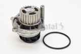 CONTINENTAL CTAM WP6010 Pompă de apă, răcire motor
