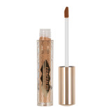 Concealer Lichid Ushas #04