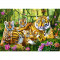Puzzle Trefl, Familia de tigri, 500 piese din carton