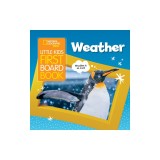 Little Kids First Board Book: Weather