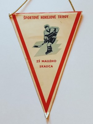 Fanion Hochei - Clubul de hochei ZS MALLEHO SKALICA (Cehia) foto