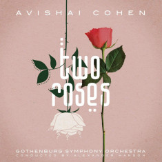 Two Roses | Avishai Cohen