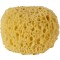Burete Baie Natural, Diametru 10cm, Grosime 7cm
