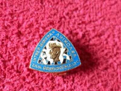 Insigna Minerit - &amp;quot;ZIUA BRIGADIERULUI&amp;quot; Intreprinderea ANINOASA foto