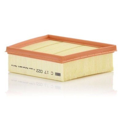 Mann-Filter Filtru aer foto