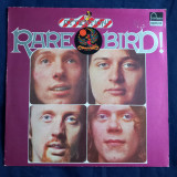 Rare Bird - Attention! Rare Bird ! _ vinyl,LP _ Fontana, Germania, 1974 _ NM/VG+, VINIL, Rock