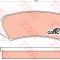 Set placute frana,frana disc LEXUS RX (MHU3, GSU3, MCU3) (2003 - 2008) TRW GDB3198