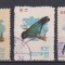 KOREEA 1962 FAUNA PASARI MI. 402-406 STAMPILAT