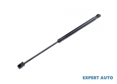Amortizor capota fata Hyundai ix55 (2008-&amp;gt;) #1 foto