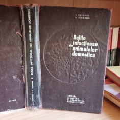I. Popovici, L. Stamtin - Bolile infectioase ale animalelor domestice