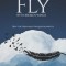 Fly with Broken Wings: Defy the Odds and Conquer Adversity