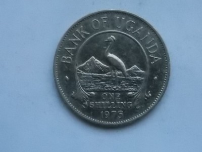 ONE SHILLING 1975 UGANDA foto