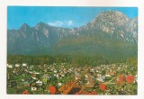 RF82 - Carte Postala - Busteni, vedere spre Bucegi, necirculata