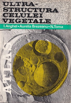 Ultrastructura celulei vegetale. Atlas - Ion Anghel foto