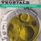 Ultrastructura celulei vegetale. Atlas - Ion Anghel