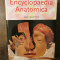 Encyclopedia Anatomica: A Collection of Anatomical Waxes