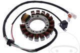 Stator Yamaha YFM 350