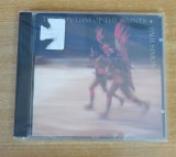 Paul Simon - The Rhythm of the Saints CD (1990), Rock, Warner