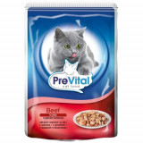 Cumpara ieftin Prevital Plic Cat 24x100 g Premium Vita (R)