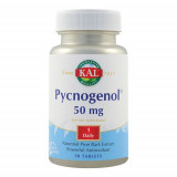 Pycnogenol 50mg, 30tab ActivTab, Kal