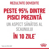 Hrană uscată pentru pisici Royal Canin Digestive Care 400 g