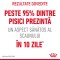Foto  - 2