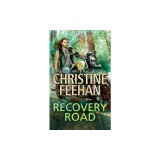 Recovery Road