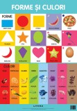 Forme si culori. Planse educationale