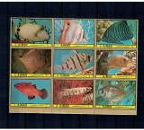 Ajman 1972 - Pești tropicali (II), serie dantelata neuzata
