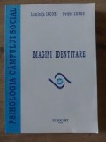 Imagini identitare- Luminita Iacob, Ovidiu Lungu