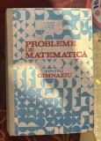 Probleme de Matematica pentru Gimnaziu - Ion Petrica, Stefan Alexe, Ed. Didactica si Pedagogica, 440 pagini