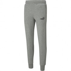 Pantaloni barbati Puma Essentials Slim 58674803