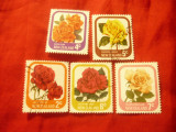 Serie mica Noua Zeelanda 1975 - Flora - Trandafiri , 5 val. stampilate, Stampilat
