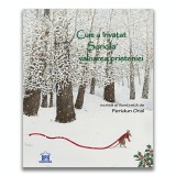 Cum a invatat Soricila valoarea prieteniei