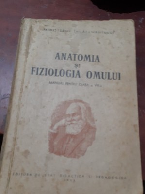 ANATOMIA SI FIZIOLOGIA OMULUI foto