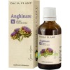 Tinctura De Anghinare 50ml