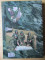 Foto  - 3