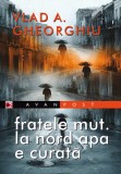 Fratele Mut. La Nord Apa e Curată - Vlad A. Gheorghiu - Poezie - Autograf Paralela 45