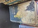 Sfinxul ghețarilor vintage