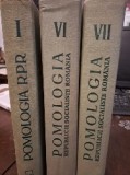 Pomologia, vol. 1, 6, 7