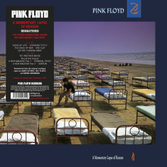 Pink Floyd A Momentary Lapse Of Reason 180g LP remaster 2011 (vinyl) foto