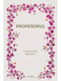 Profesorul/Charlotte Bronte, Litera