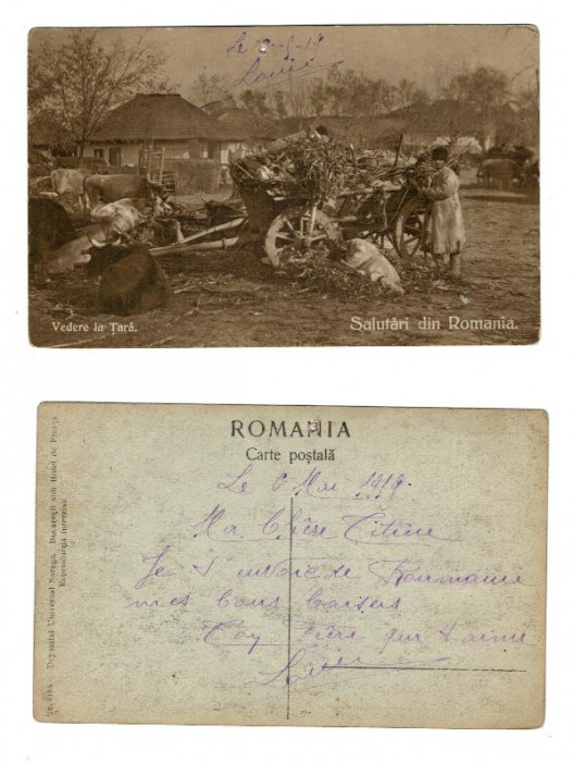 Salutari din Romania, vedere la tara, ilustrata 1919