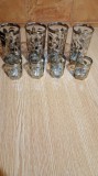 Set pahare {Argintate }